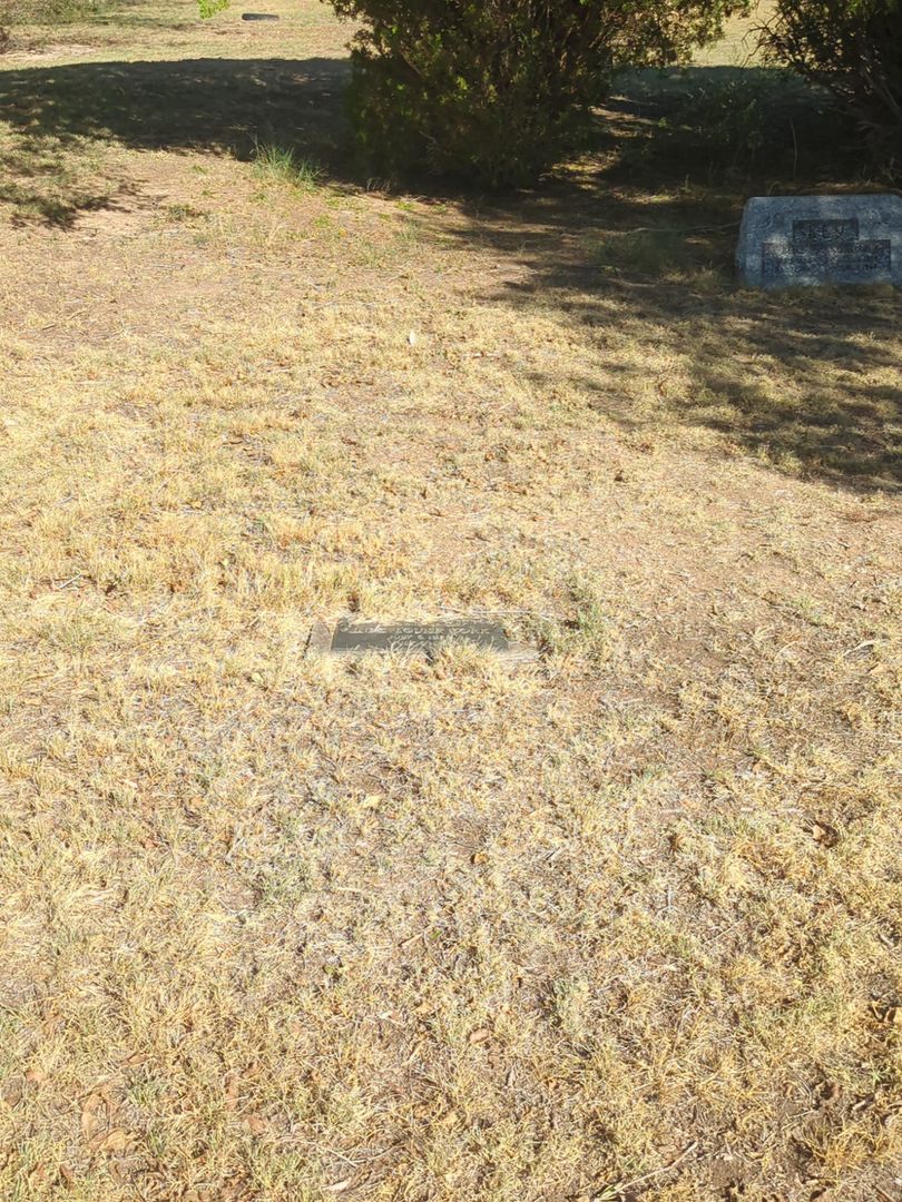Inez Louise York's grave. Photo 1