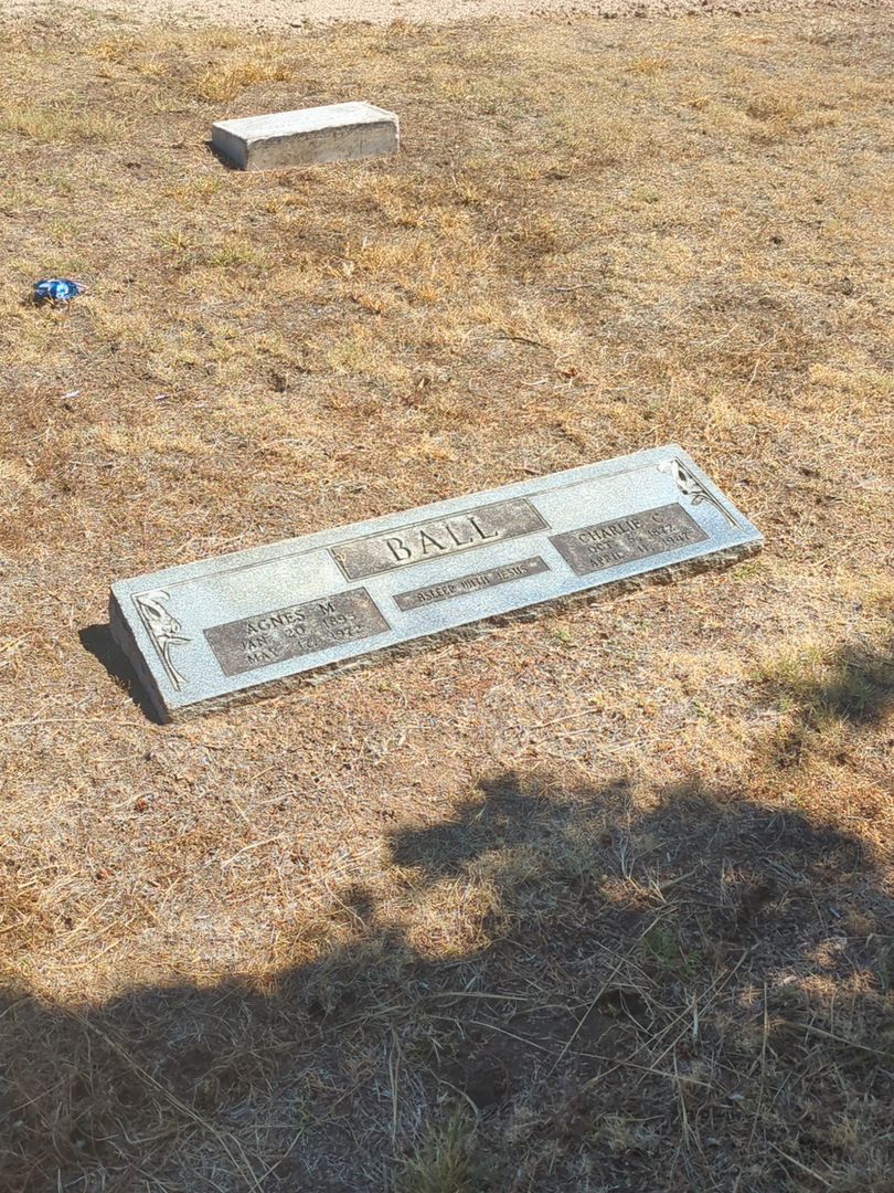 Agnes Mahala Ball's grave. Photo 1