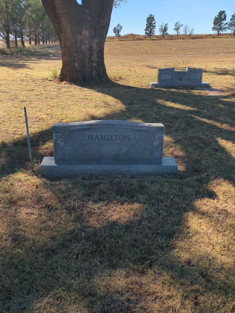 Lillard Leon Hamilton's grave. Photo 1