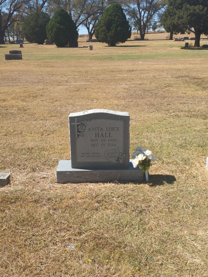 Anita Loice Hall's grave. Photo 1