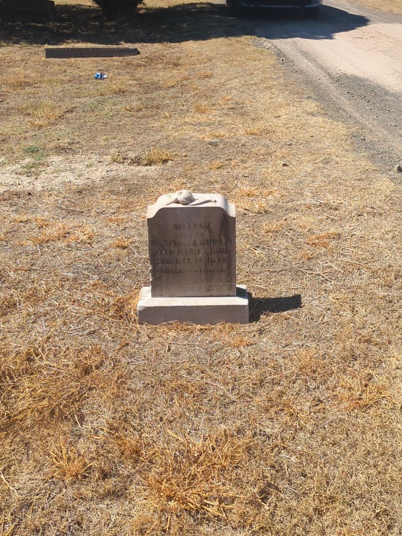 Embrem Vernon's grave. Photo 1