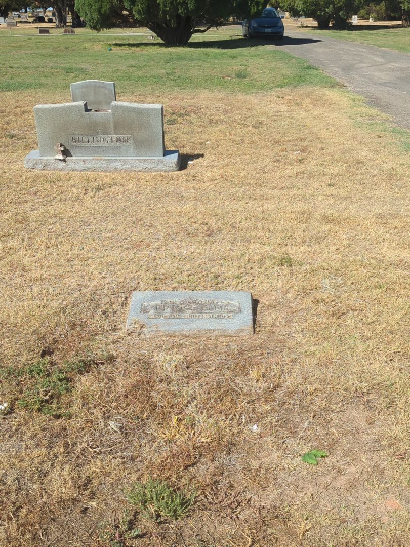 Juanice Ellis's grave. Photo 1