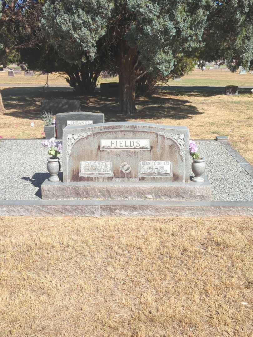 Cyrus W. "C. Y." Fields's grave. Photo 1