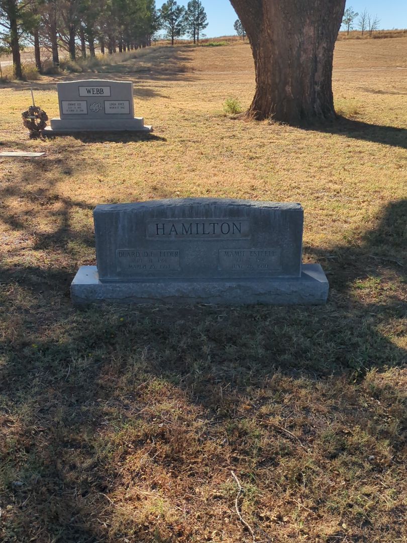 Mamie Estelle Hamilton's grave. Photo 1