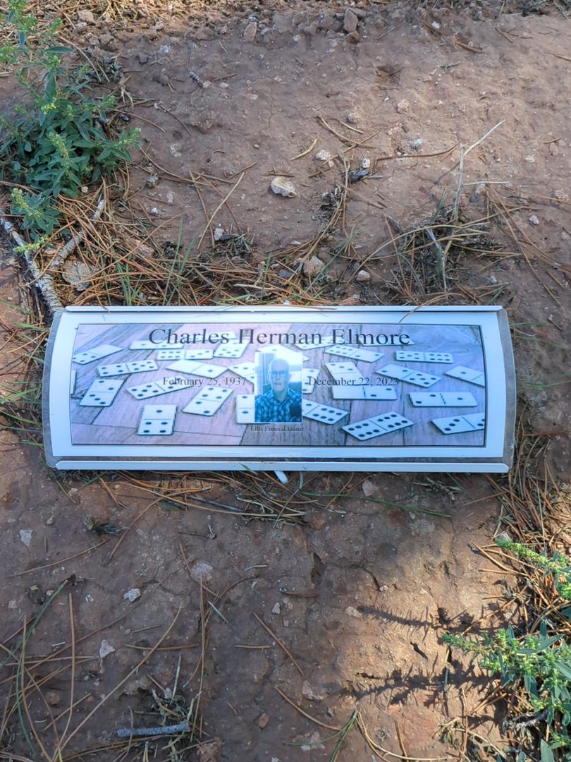Charles Herman Elmore's grave. Photo 1