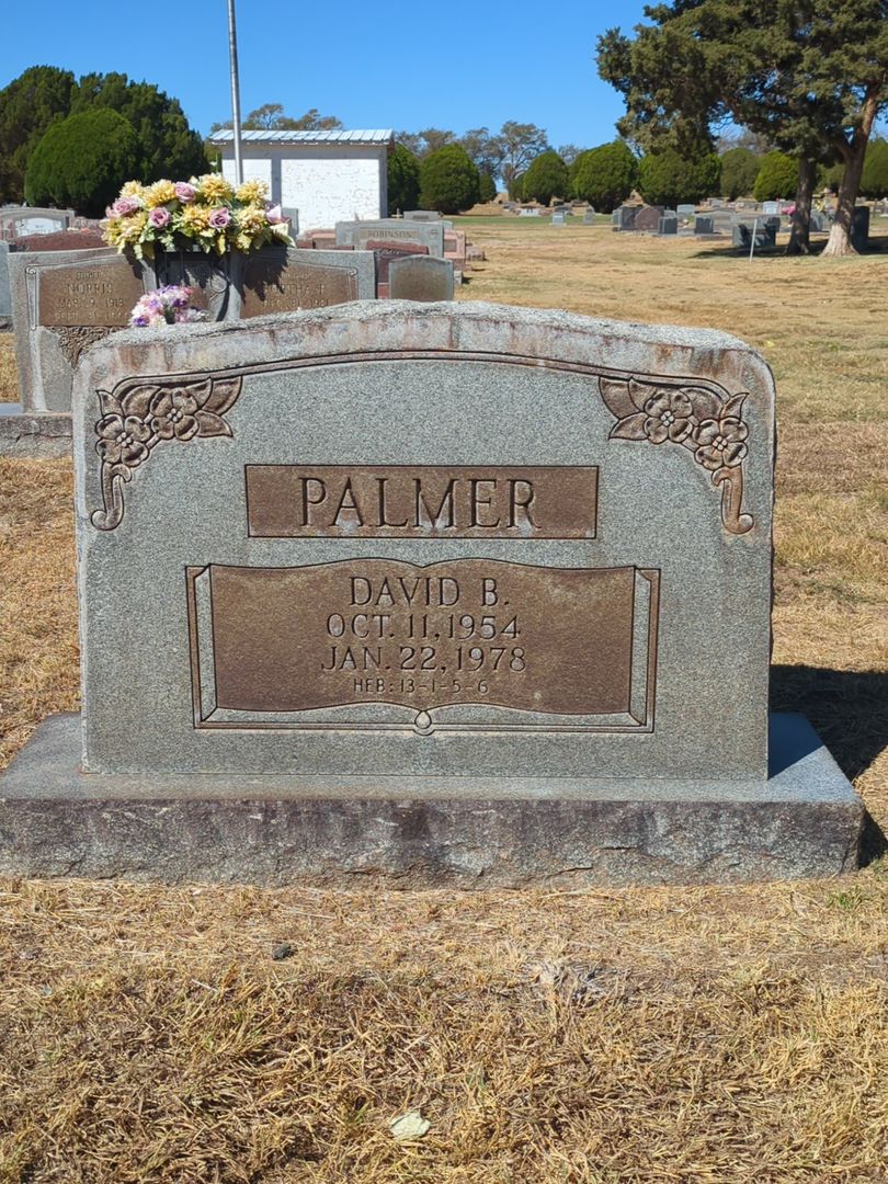 David B. Palmer's grave. Photo 1