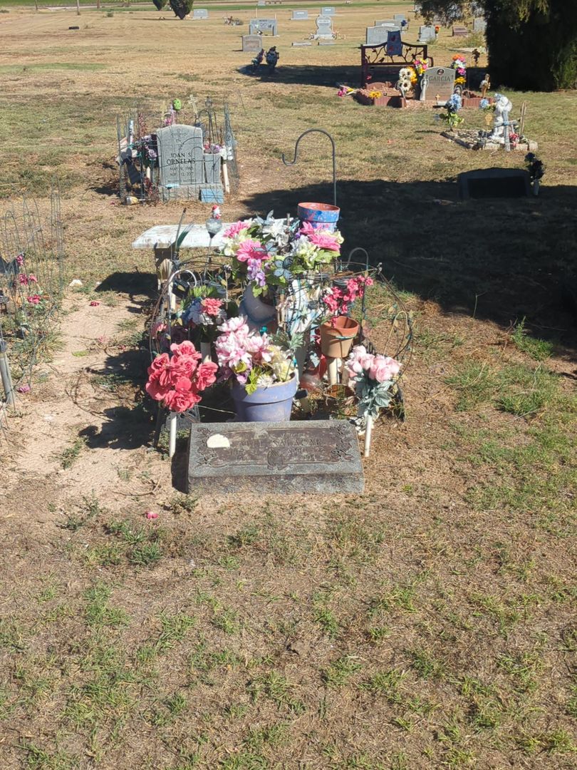 Isabel Salazar's grave. Photo 1