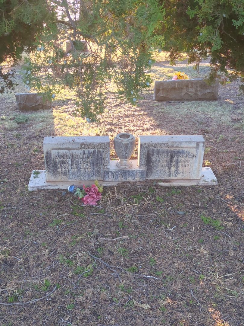 James Andrew Hale's grave. Photo 1