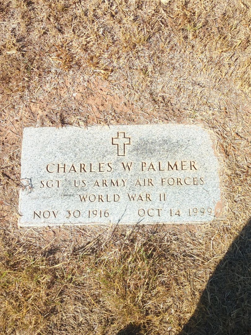 Charles Wofford Palmer's grave. Photo 1