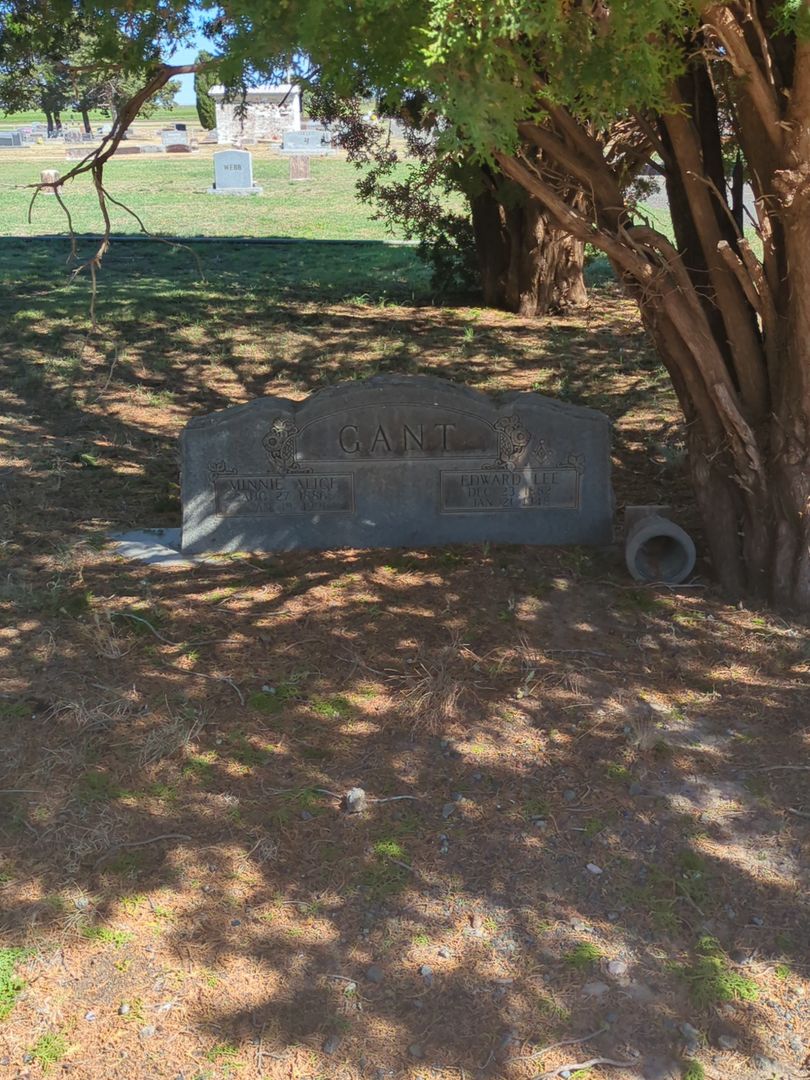 Edward Lee Gant's grave. Photo 1