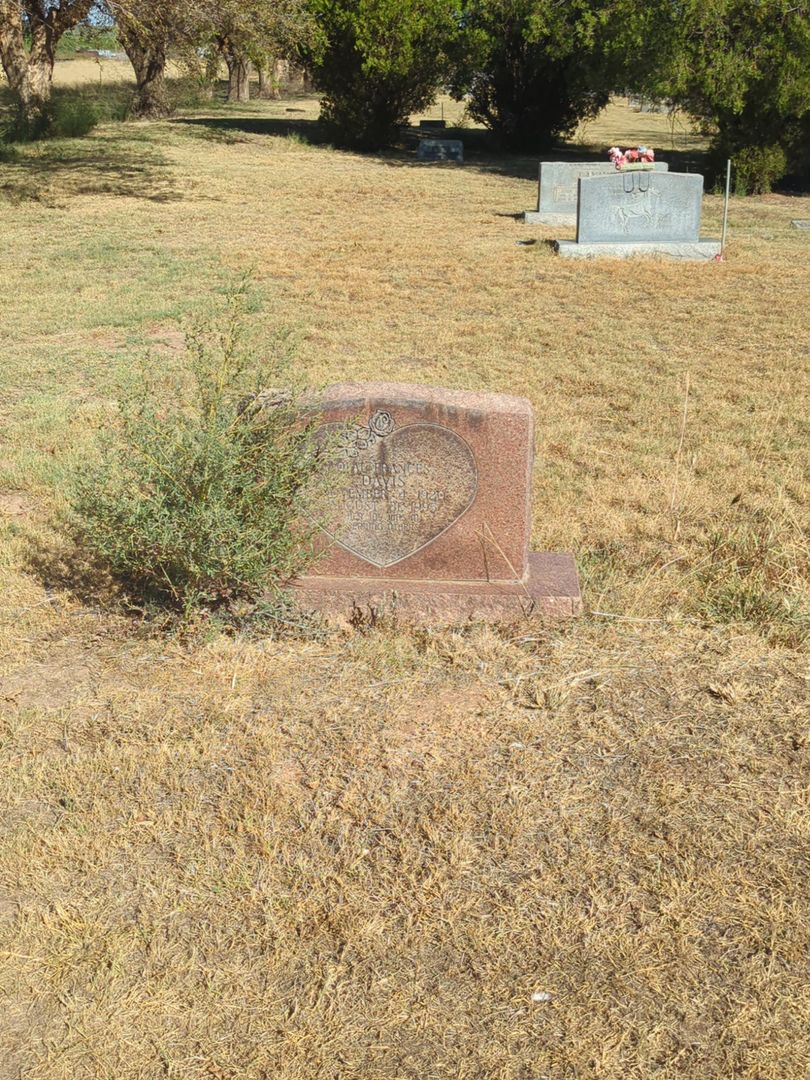 Alton Kent Davis's grave. Photo 1