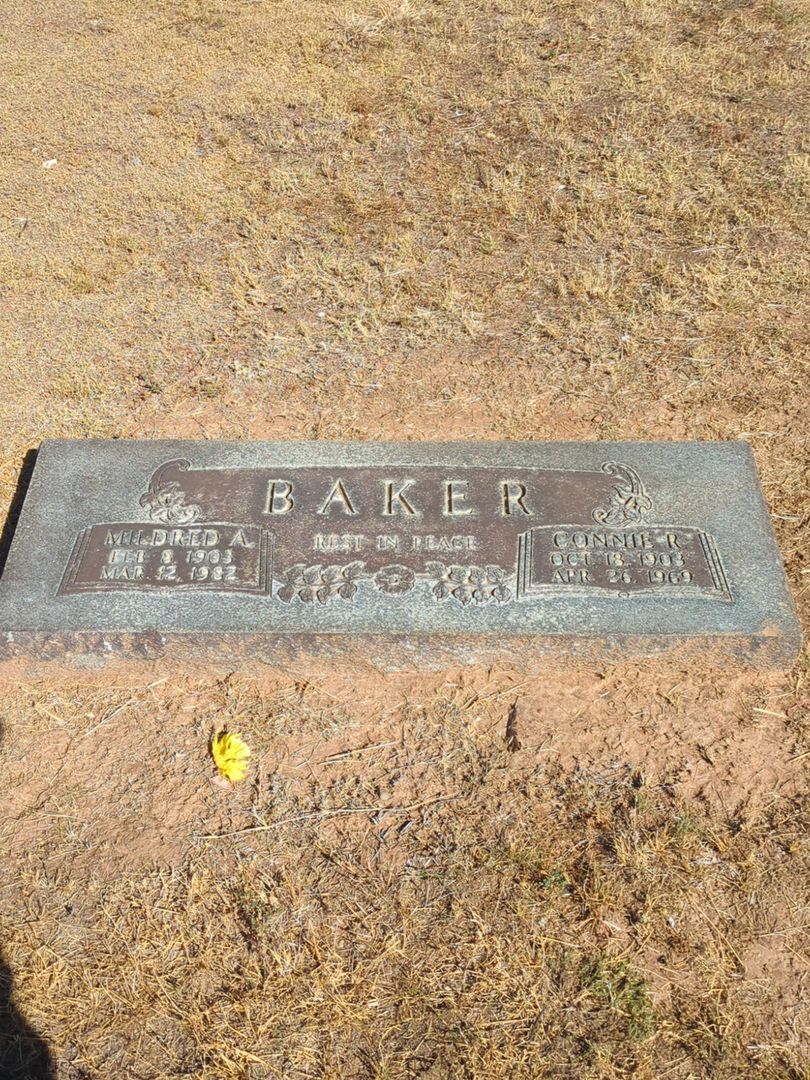 Connie R. Baker's grave. Photo 1
