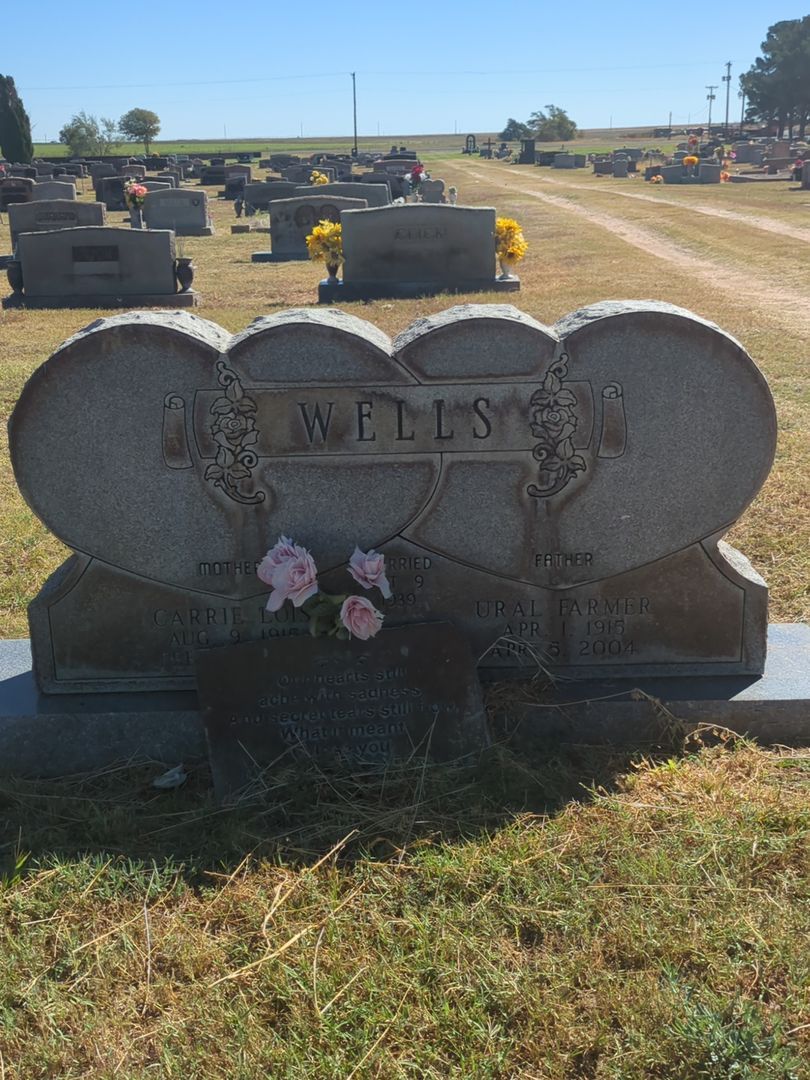 Ural Farmer Wells's grave. Photo 1