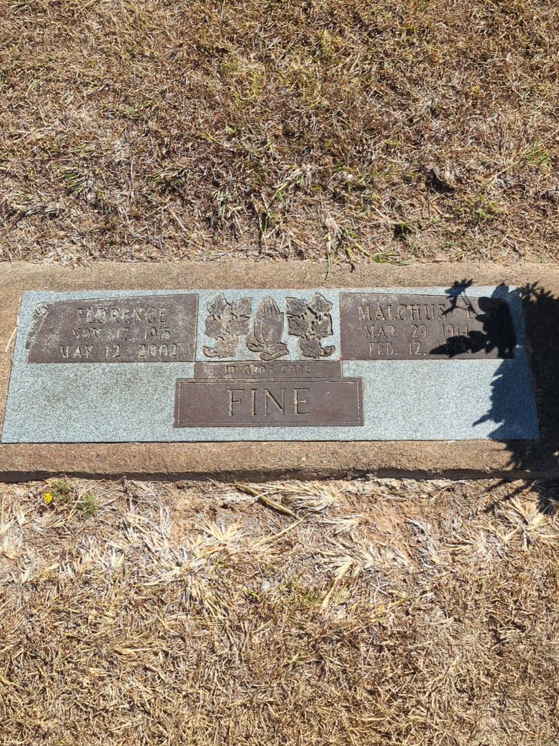 Malchus Levi Fine's grave. Photo 1